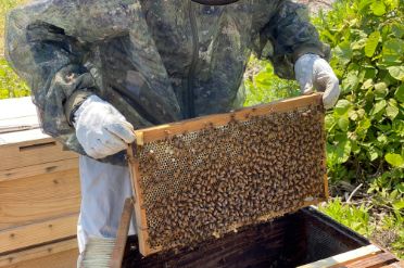 会社概要イメージ1