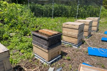 会社概要イメージ2