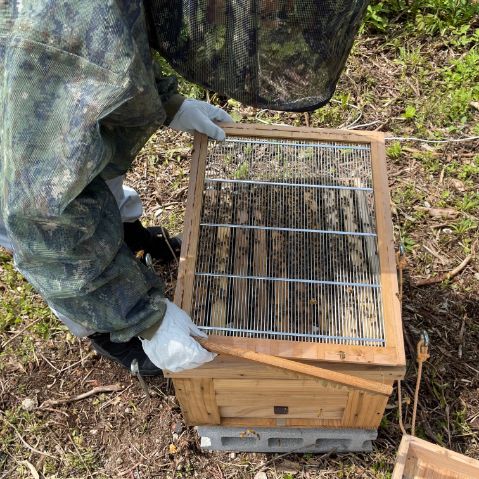 わたしたちの想いイメージ